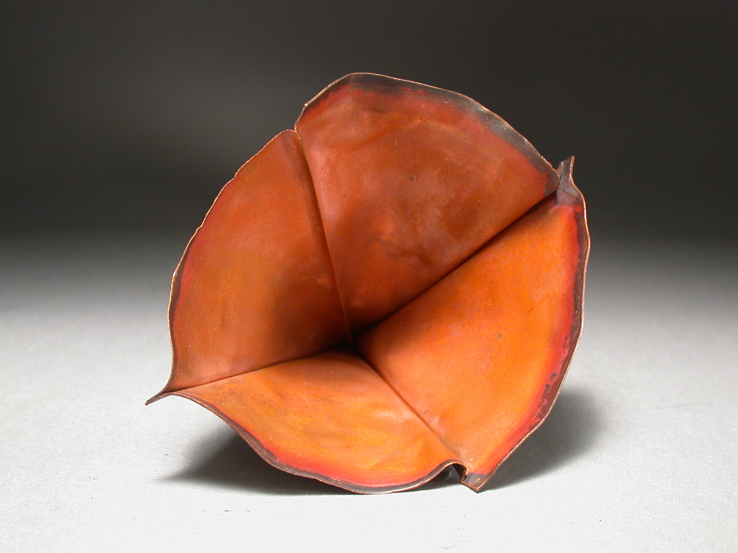 Foldforming Bootcamp with Charles Lewton-Brain